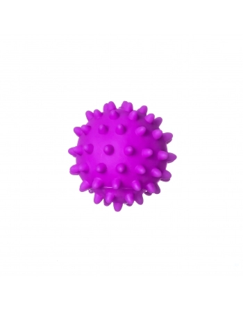 Brinquedo Pet Works Looney Tunes Bola Espinho de Vinil Roxo 8,5cm